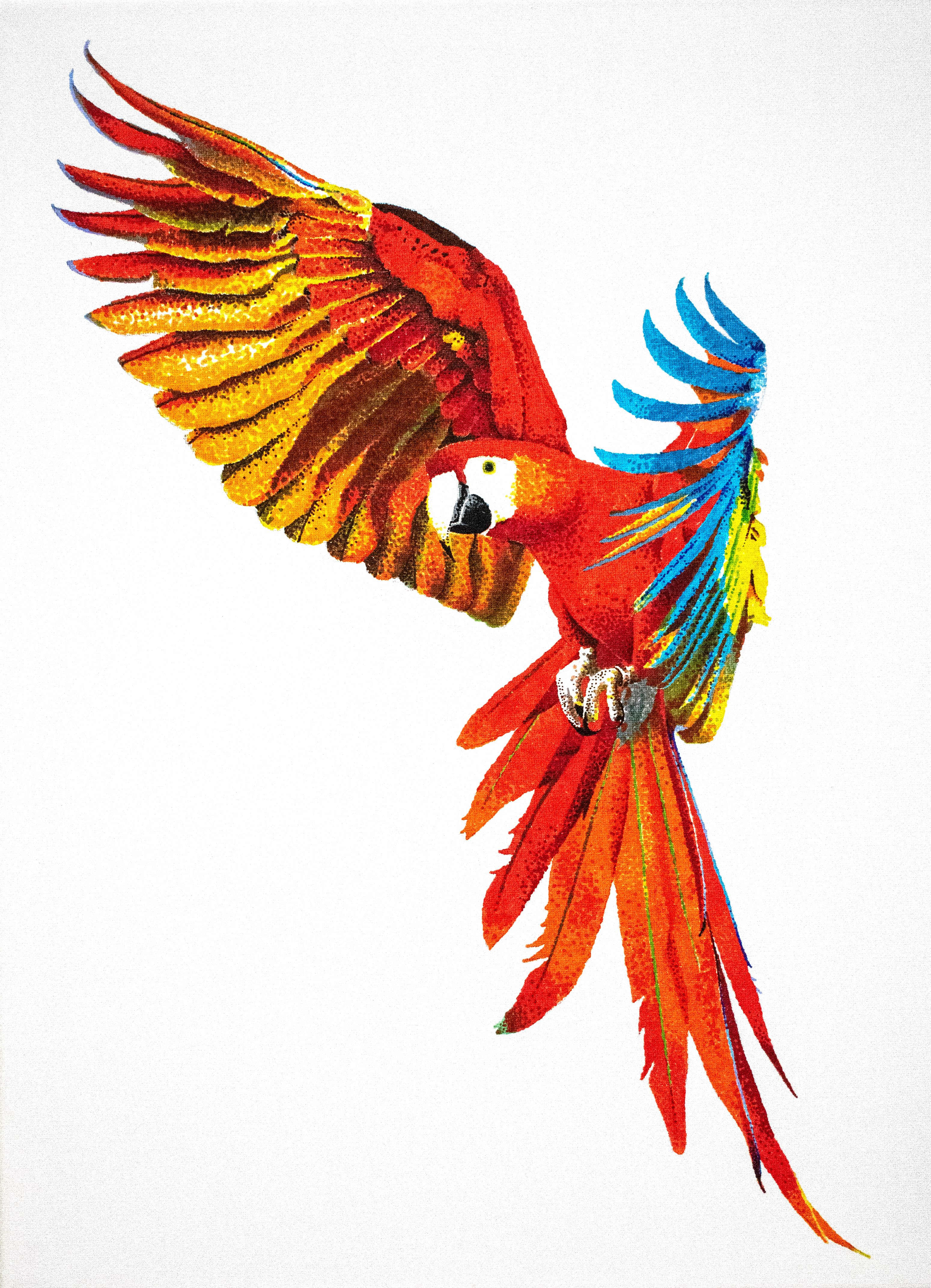 pointillist illustration of mccaw parrot in flight on canvas